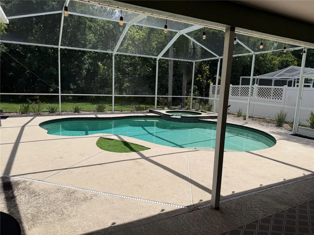 1616 KINSMERE DRIVE Trinity, FL 34655