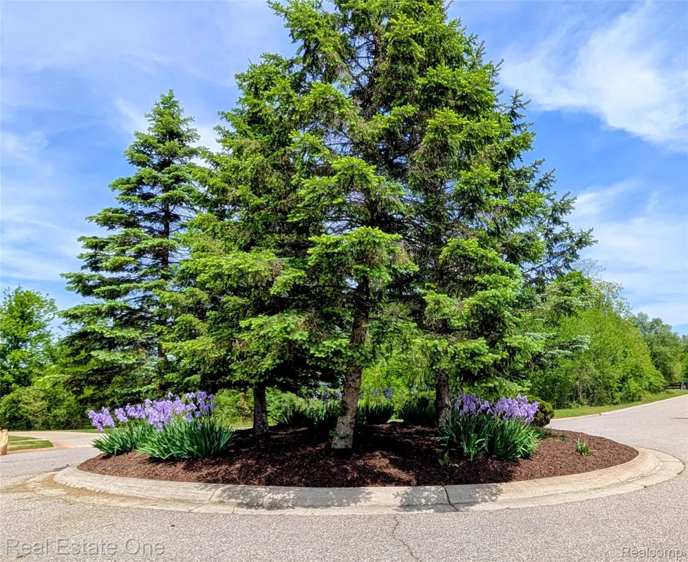 508 Woodstone Court White Lake Charter Township, MI 48386