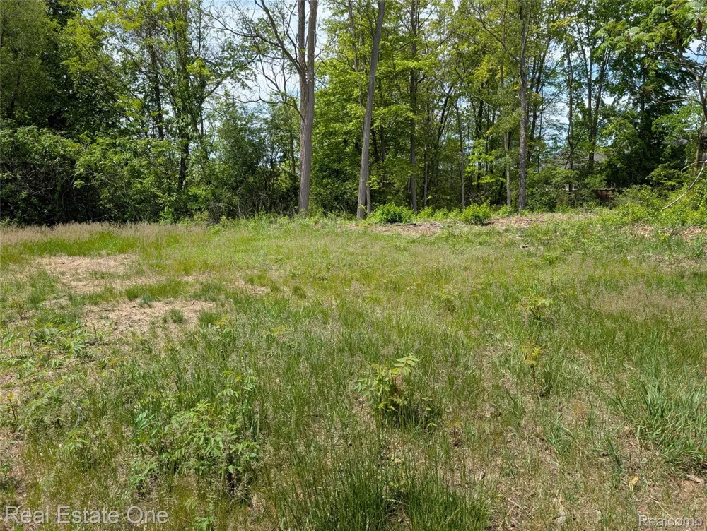 508 Woodstone Court White Lake Charter Township, MI 48386