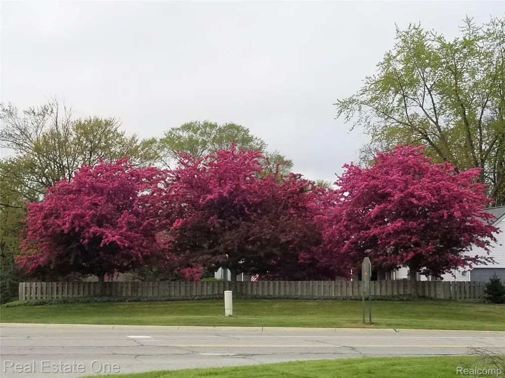 11030 Marshall Road Green Oak Township, MI 48178