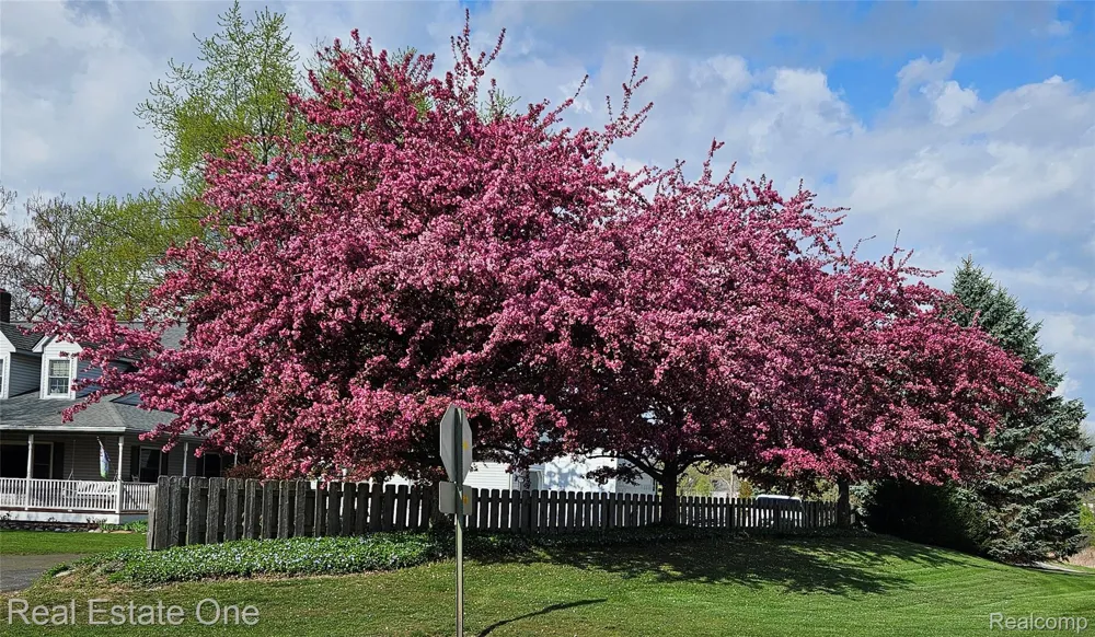 11030 Marshall Road Green Oak Township, MI 48178