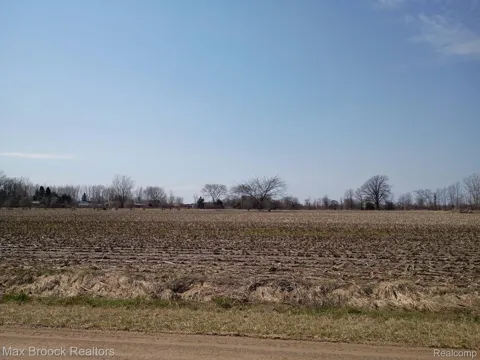Reed Road