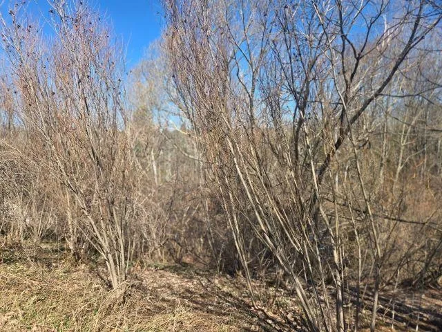 3801 Creekside Drive Garfield Charter Township, MI 49684
