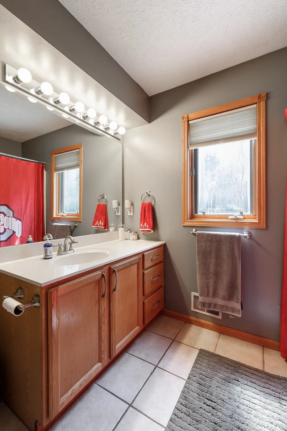 3850 Burlington Drive Acme Township, MI 49690