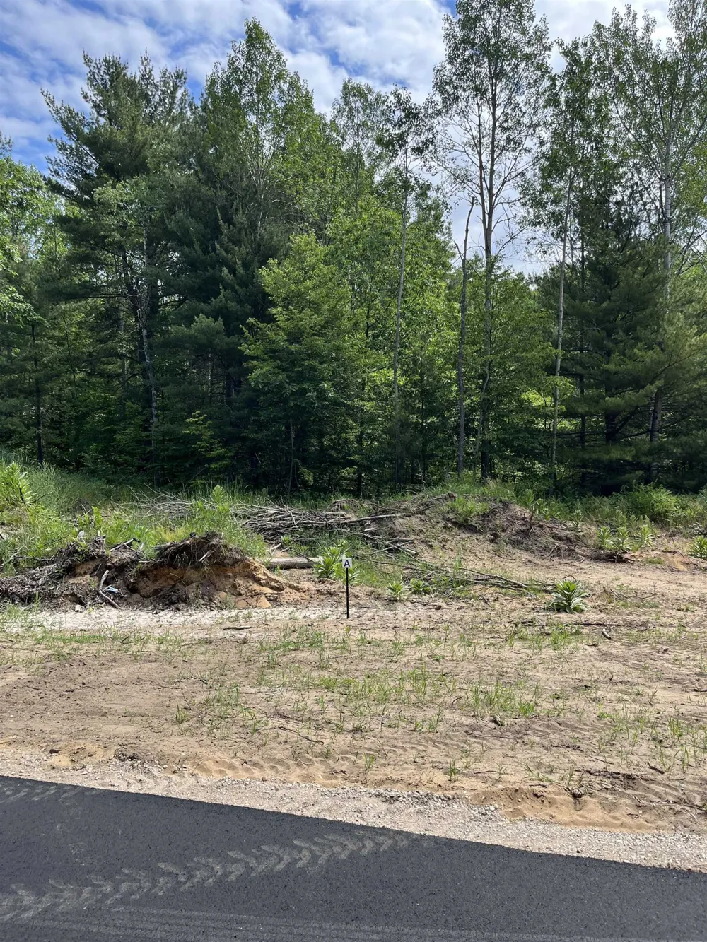 Hoosier Flats Road Blair Township, MI 49685