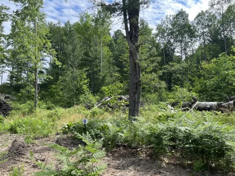 Hoosier Flats Road