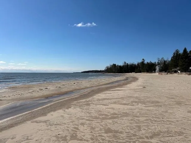 4546 Lakeshore Drive Alcona Township, MI 48721