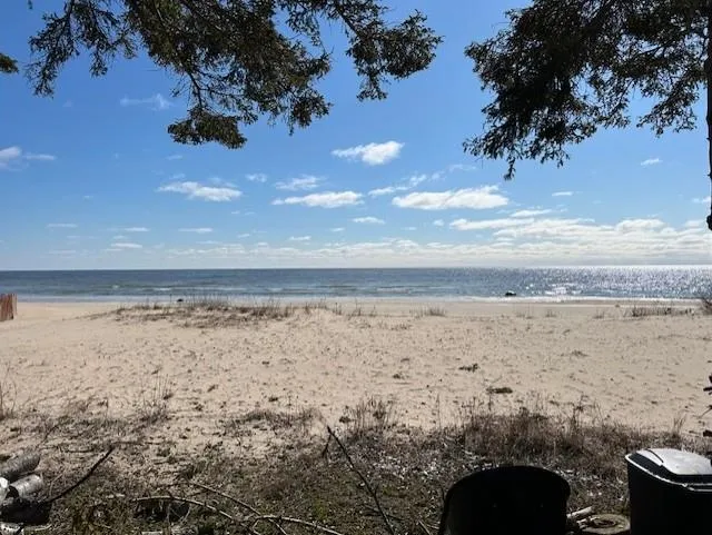 4546 Lakeshore Drive Alcona Township, MI 48721