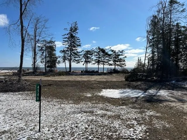 4546 Lakeshore Drive Alcona Township, MI 48721