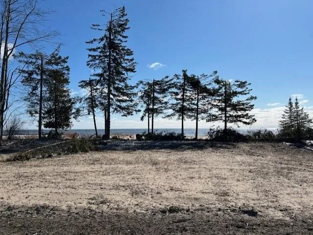 4546 Lakeshore Drive Alcona Township, MI 48721
