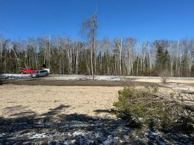4546 Lakeshore Drive Alcona Township, MI 48721