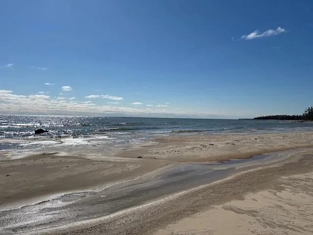4546 Lakeshore Drive Alcona Township, MI 48721