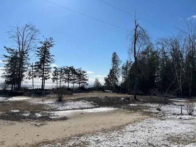 4546 Lakeshore Drive Alcona Township, MI 48721