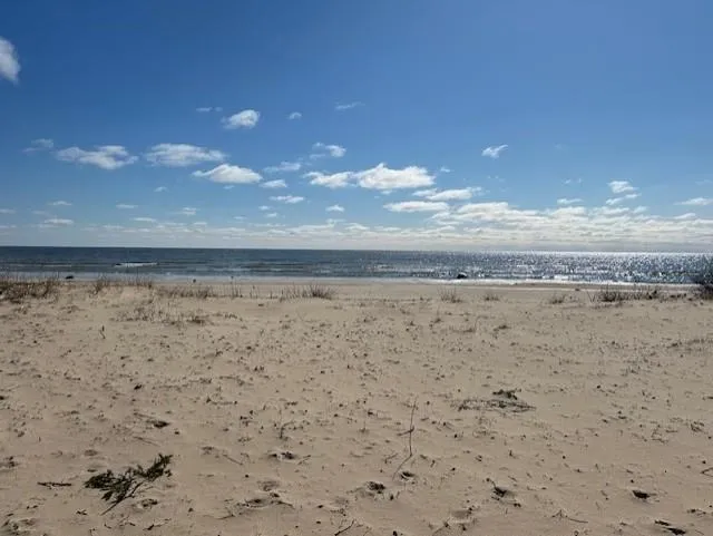 4546 Lakeshore Drive Alcona Township, MI 48721