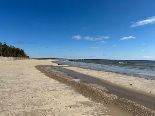 4546 Lakeshore Drive Alcona Township, MI 48721