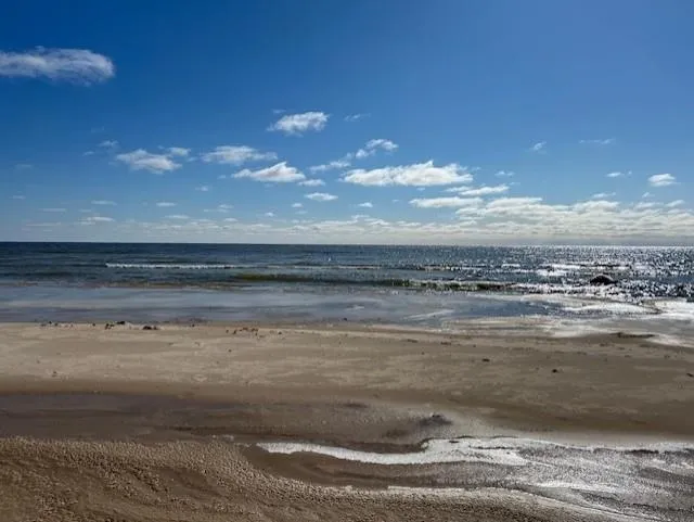 4546 Lakeshore Drive Alcona Township, MI 48721