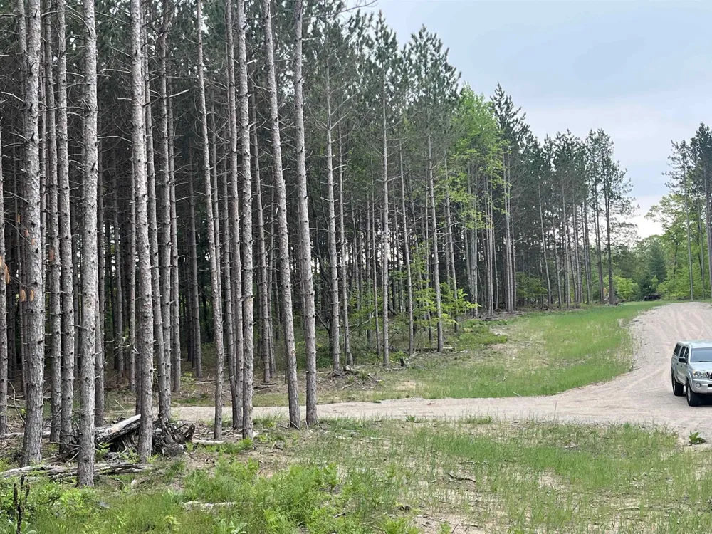 Theron Road Blair Township, MI 49685