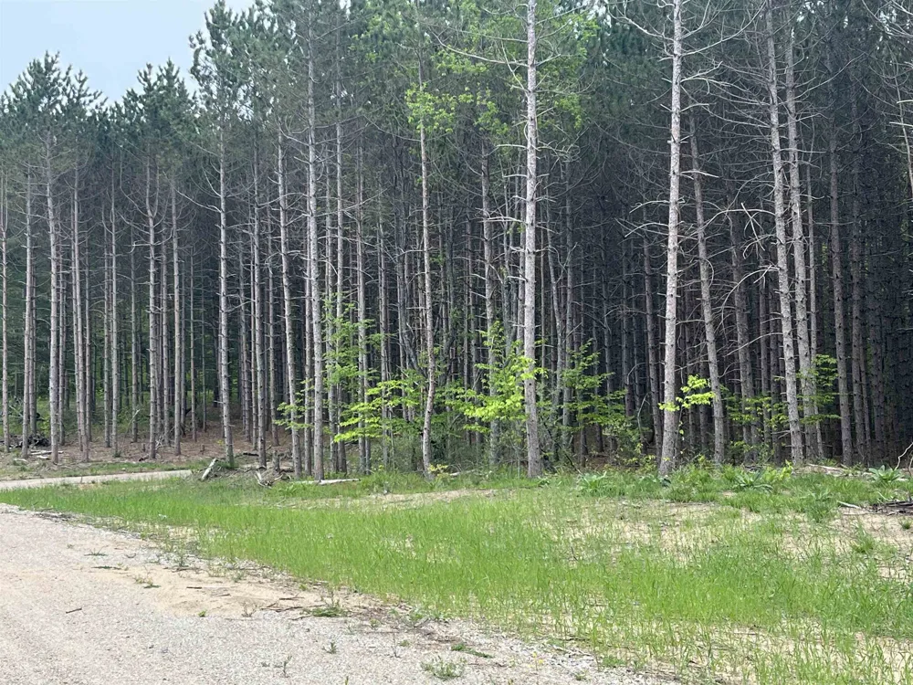 Theron Road Blair Township, MI 49685