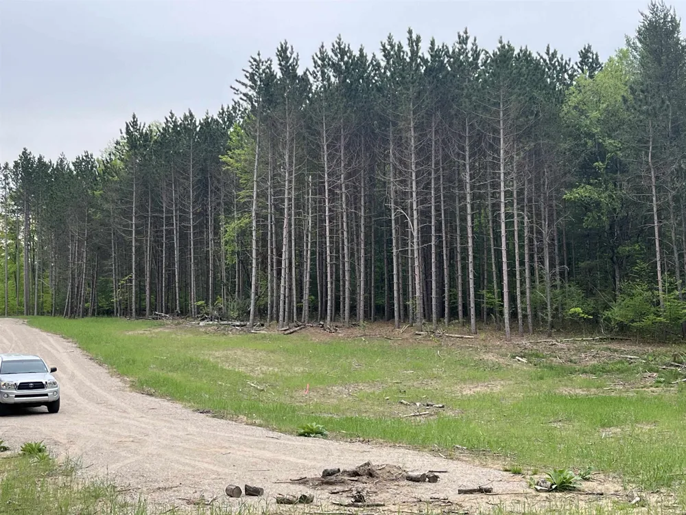 Theron Road Blair Township, MI 49685