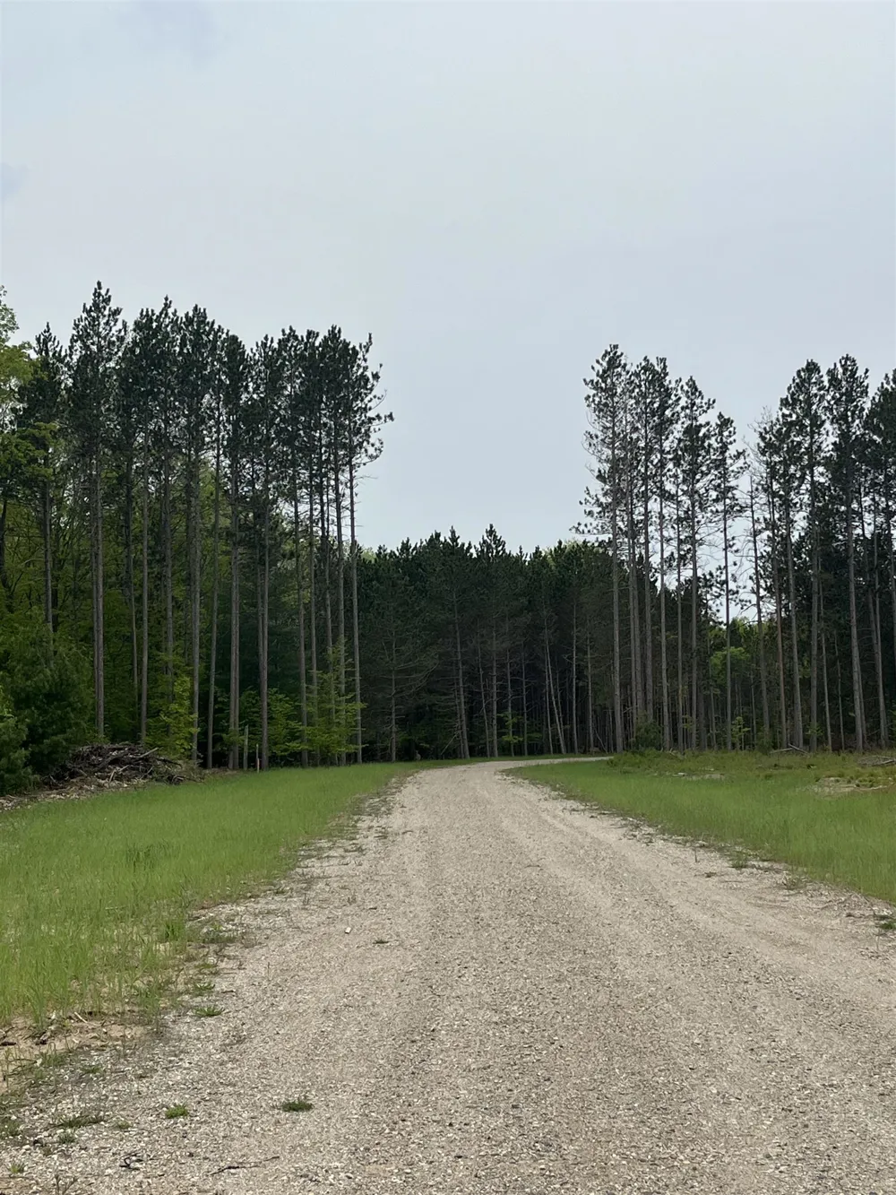 Theron Road Blair Township, MI 49685