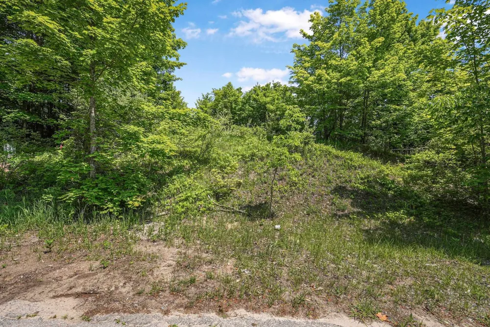E Sugar Maple Court Suttons Bay Township, MI 49682