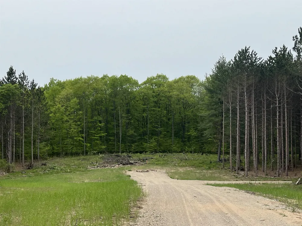 Theron Road Blair Township, MI 49685