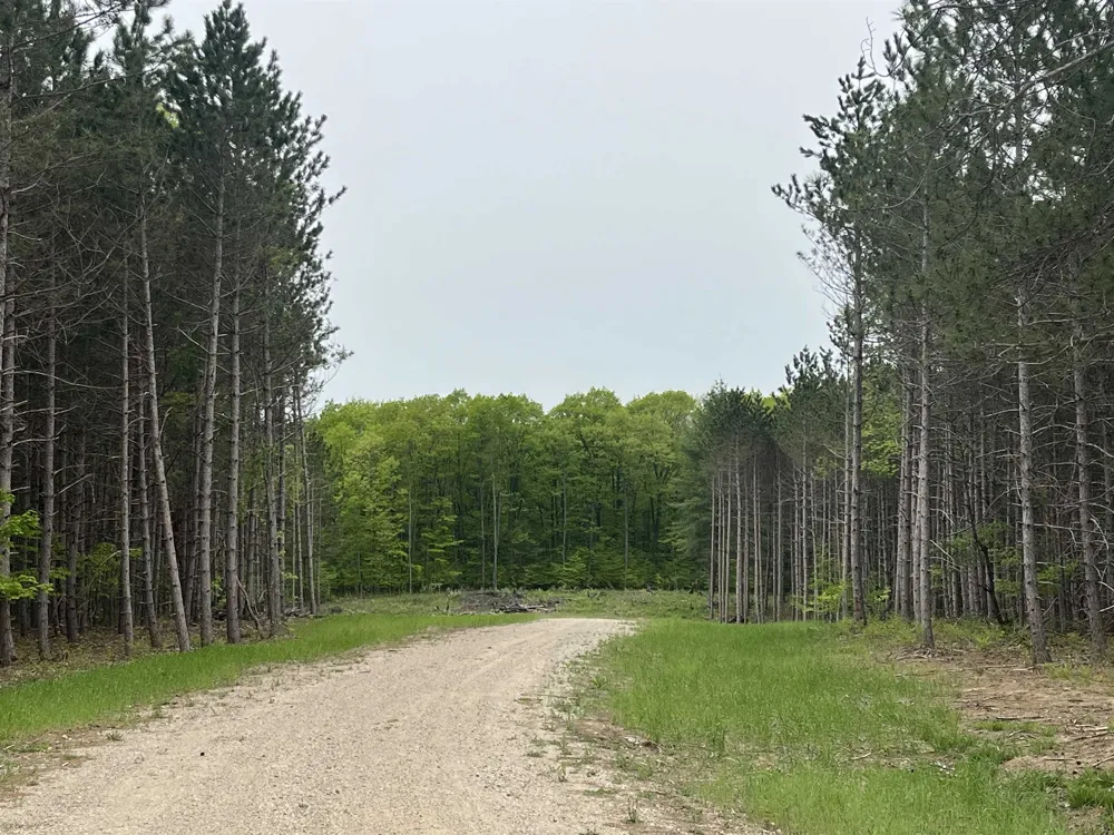 Theron Road Blair Township, MI 49685