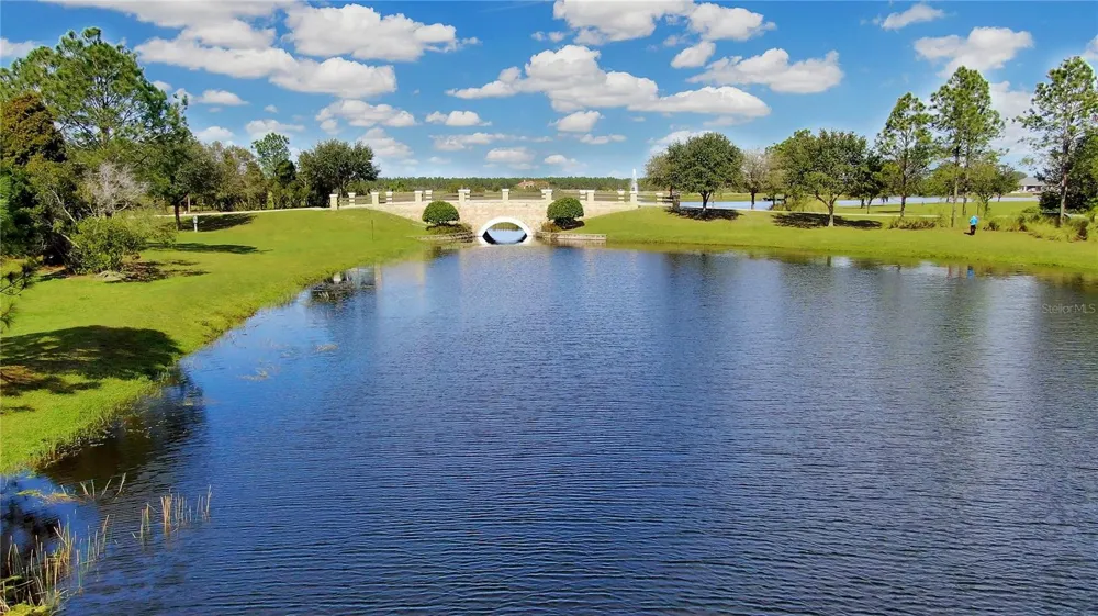 5247 LAKE VENICE DRIVE Wimauma, FL 33598
