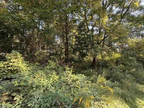 woodland ln Lane