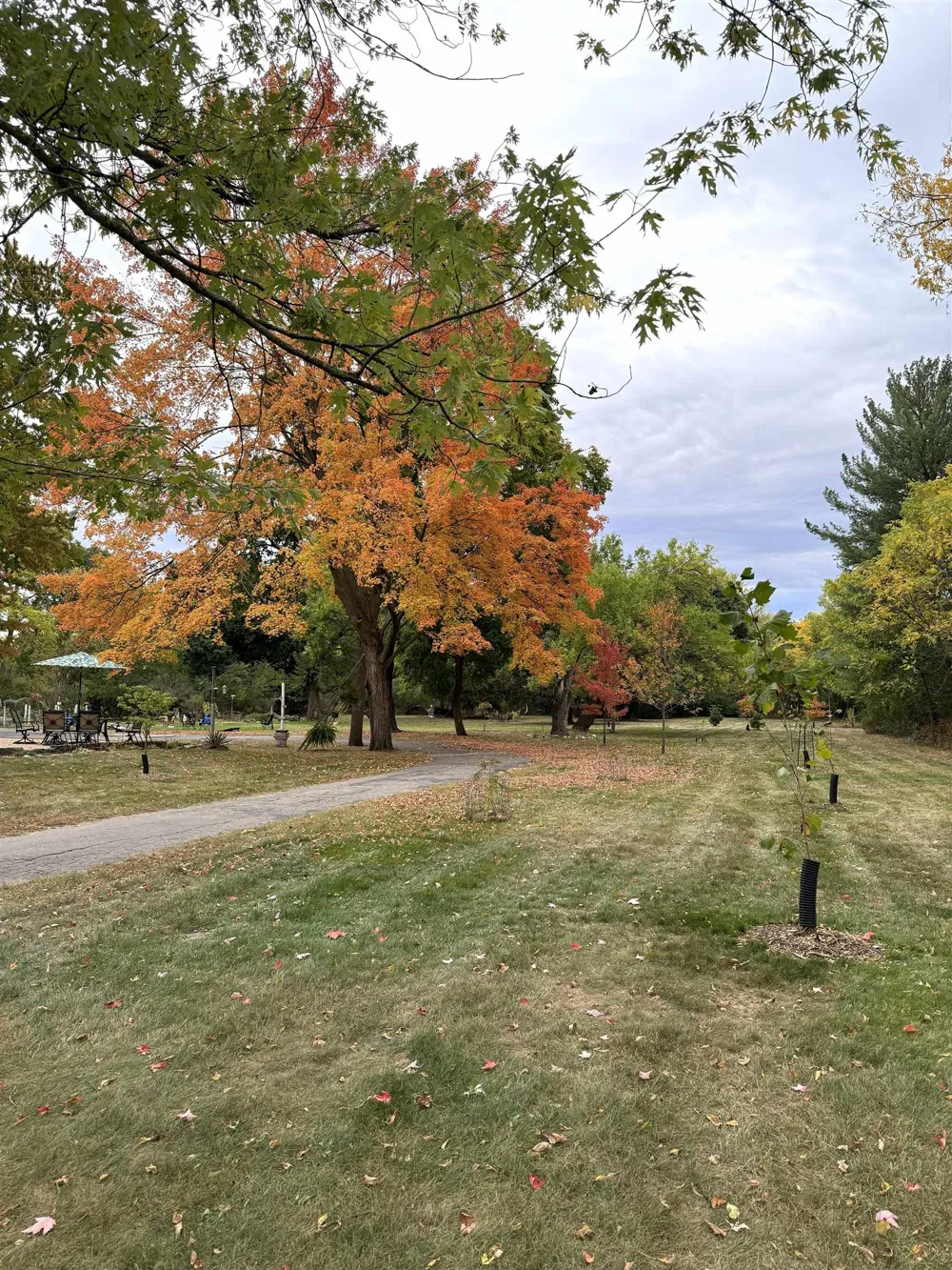 1318 E Broadway Mt Pleasant City, MI 48858