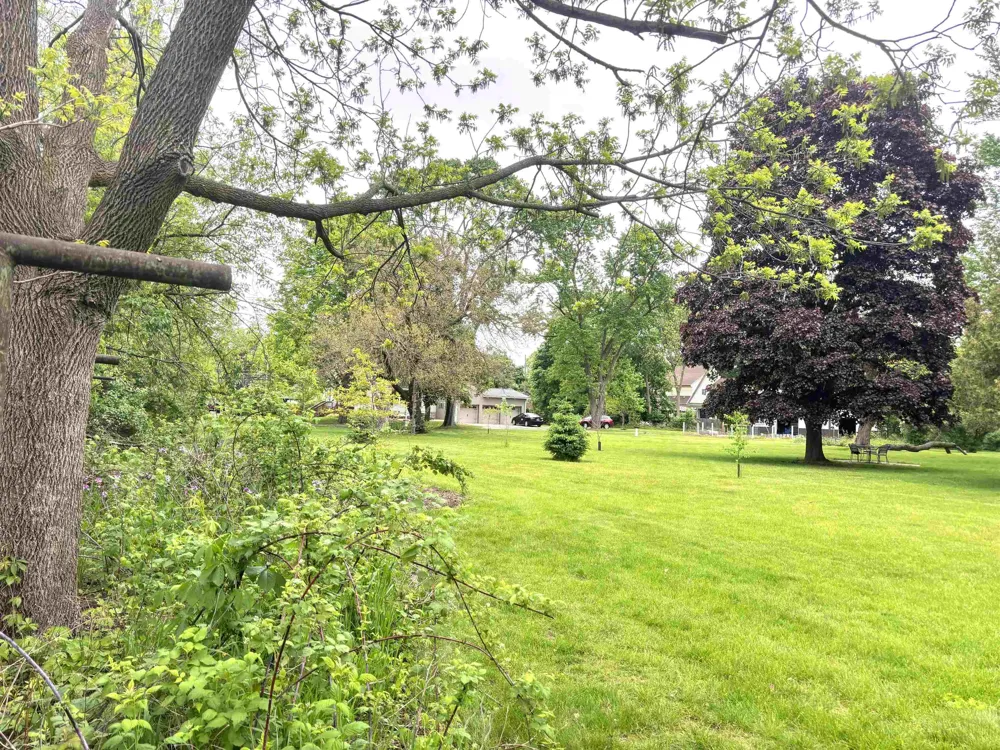 1318 E Broadway Mt Pleasant City, MI 48858