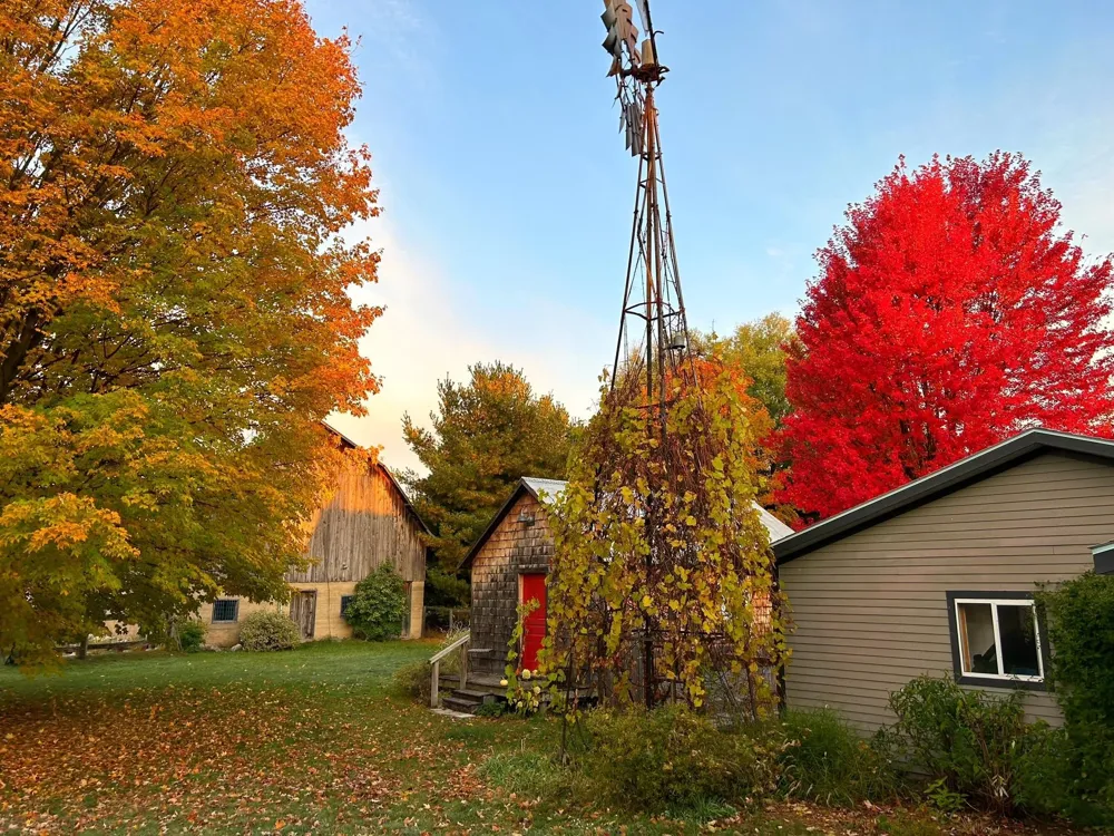 3362 S French Road Centerville Township, MI 49621