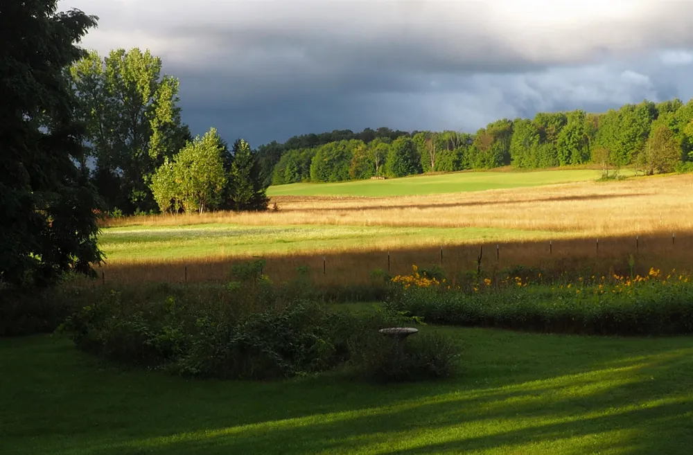3362 S French Road Centerville Township, MI 49621