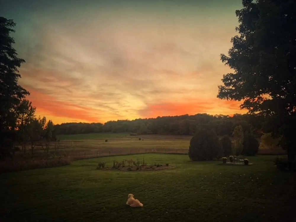 3362 S French Road Centerville Township, MI 49621