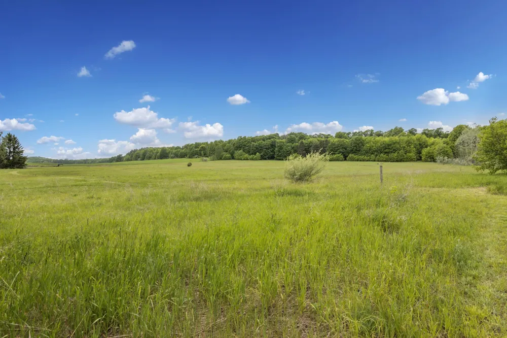 3362 S French Road Centerville Township, MI 49621