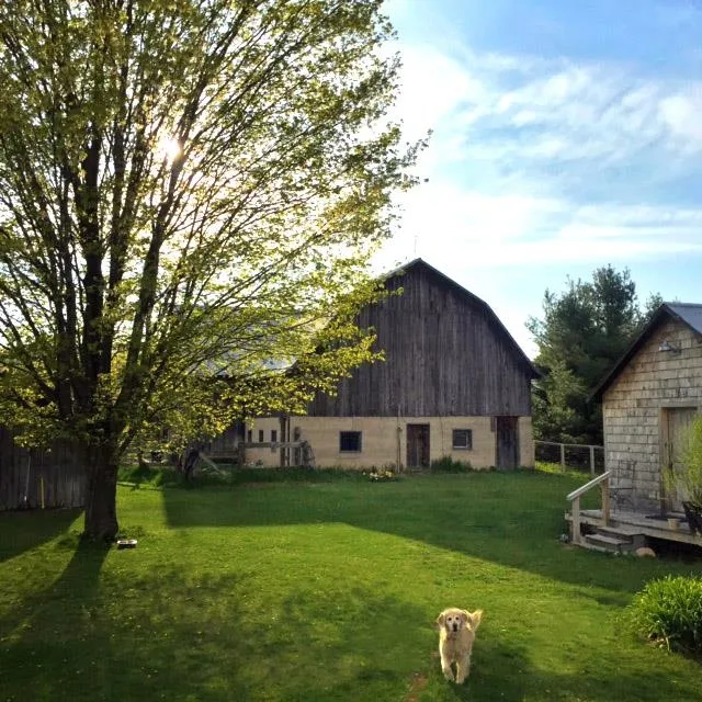 3362 S French Road Centerville Township, MI 49621