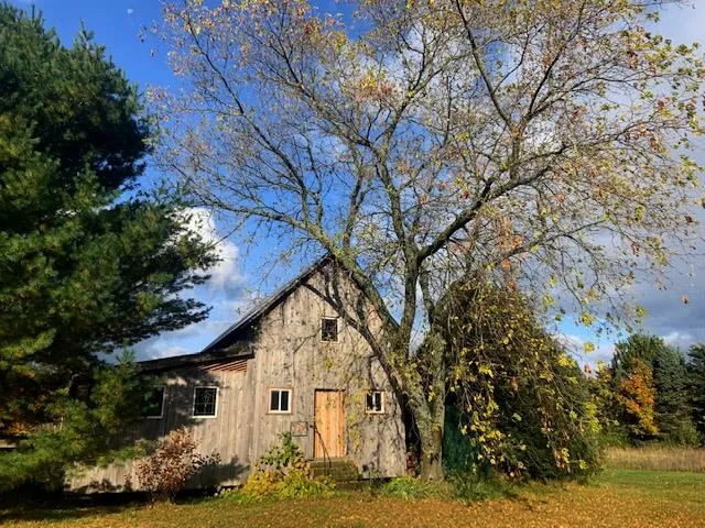 3362 S French Road Centerville Township, MI 49621