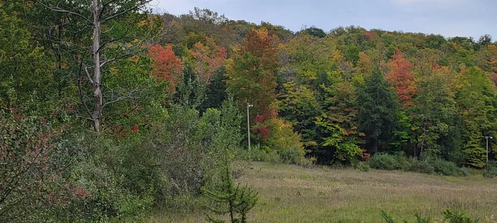 Crossover Drive Kearney Township, MI 49615