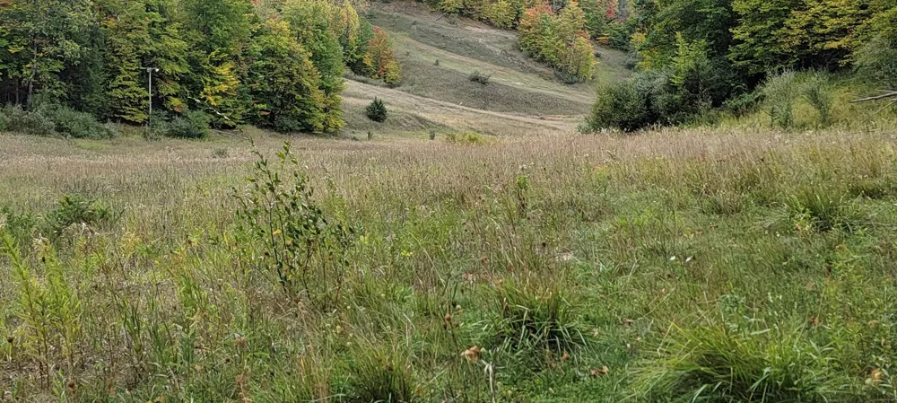 Crossover Drive Kearney Township, MI 49615