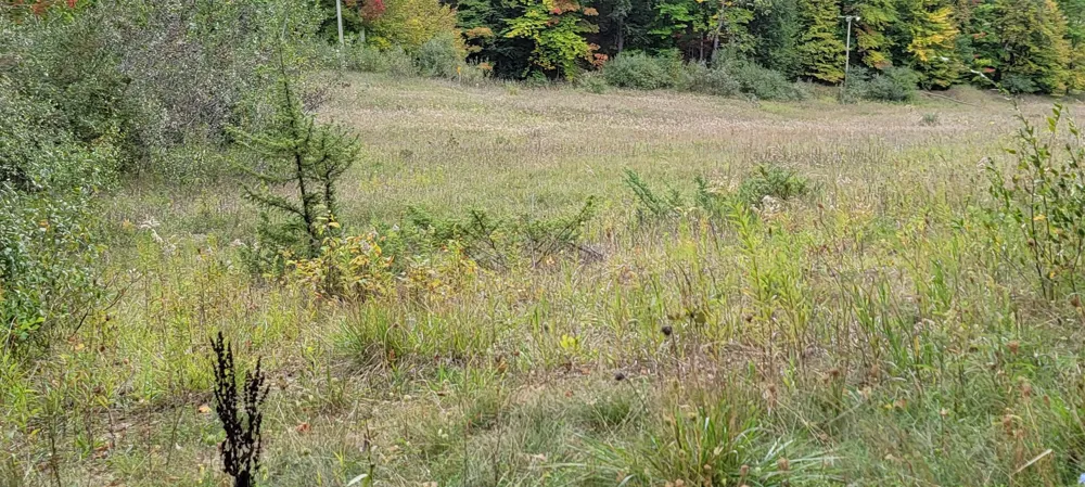 Crossover Drive Kearney Township, MI 49615