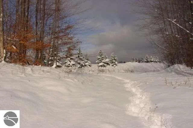 Crossover Drive Kearney Township, MI 49615