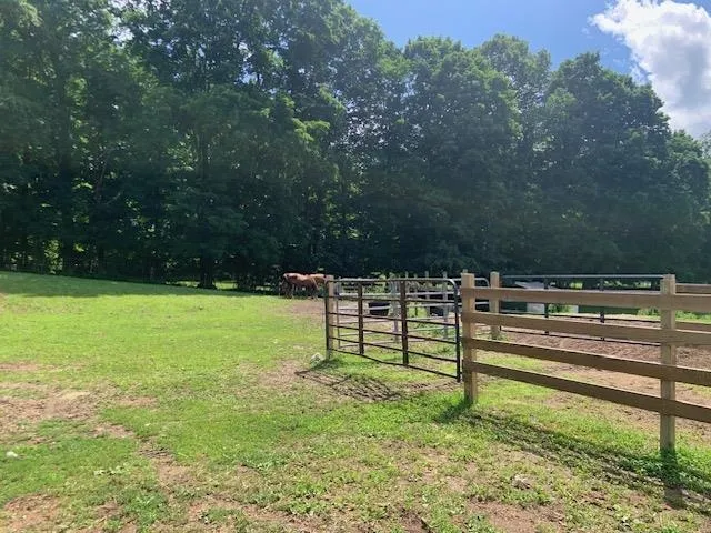 Shumaker Road Kearney Township, MI 49615