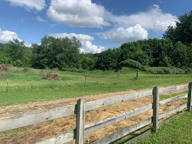 Shumaker Road Kearney Township, MI 49615