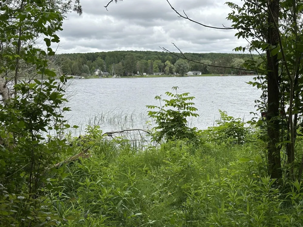 4944 Benway Lane Central Lake Township, MI 49622