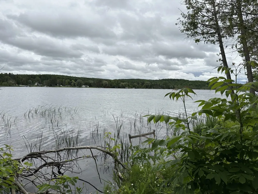 4944 Benway Lane Central Lake Township, MI 49622