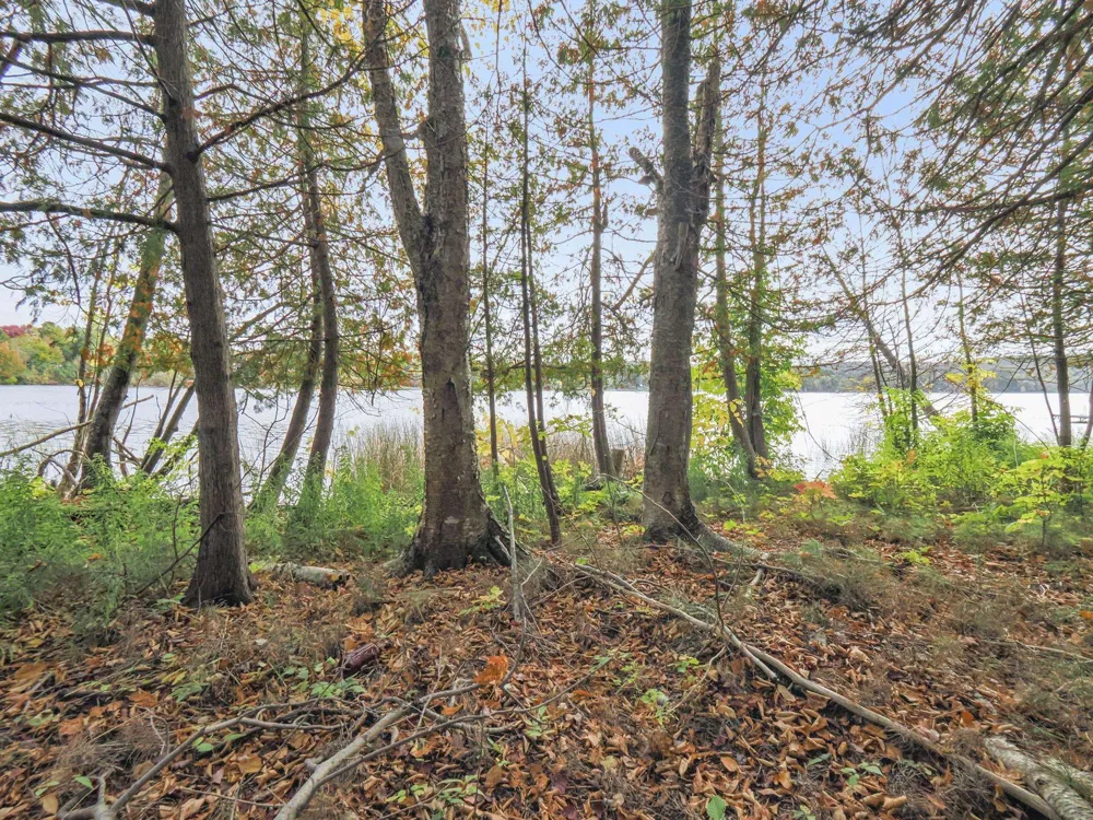 4944 Benway Lane Central Lake Township, MI 49622
