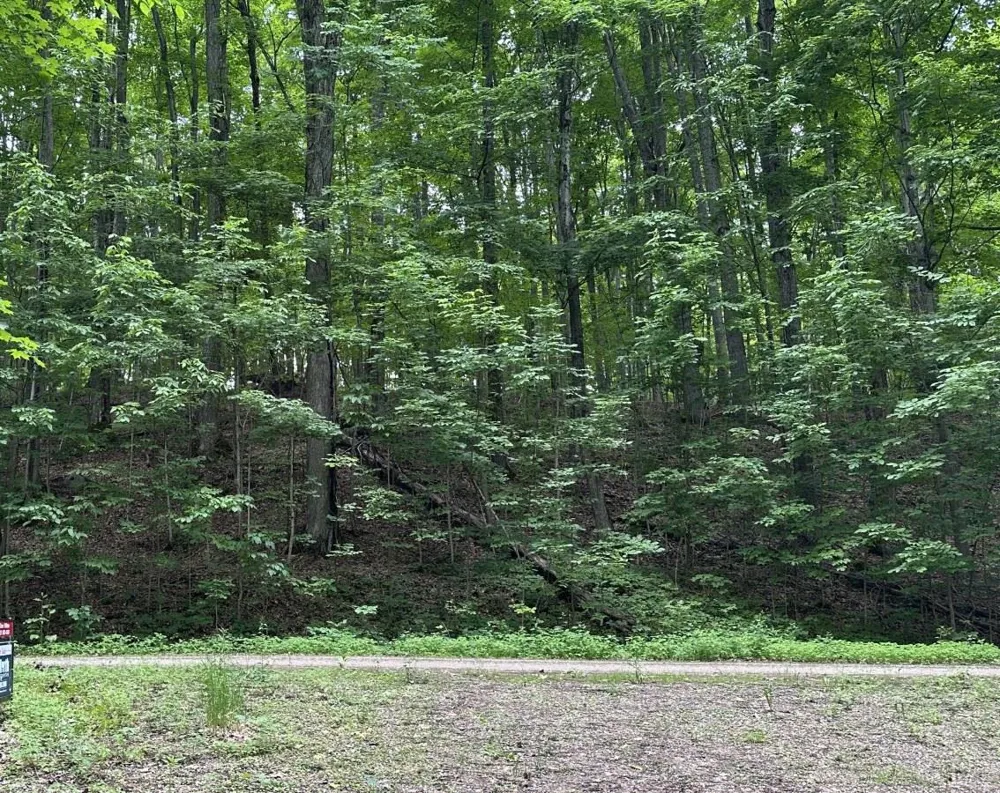 4944 Benway Lane Central Lake Township, MI 49622
