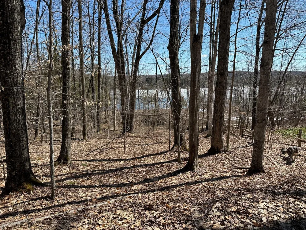 4944 Benway Lane Central Lake Township, MI 49622