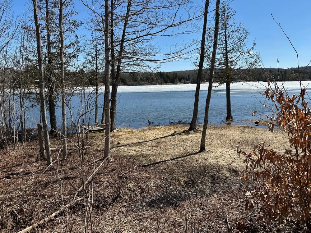 4944 Benway Lane Central Lake Township, MI 49622