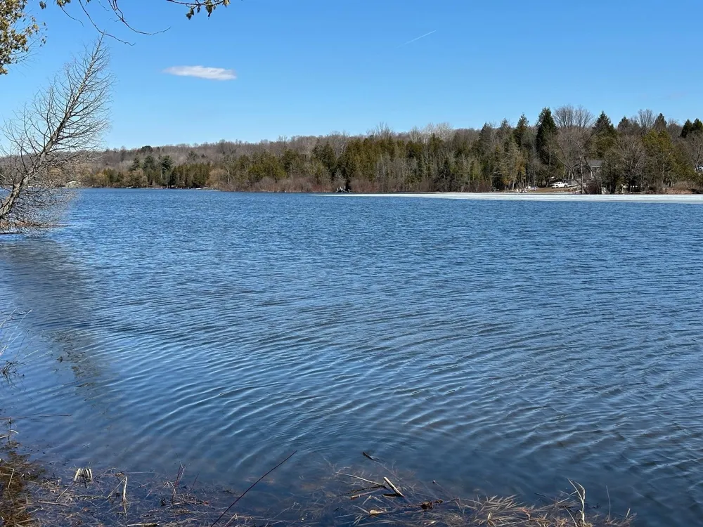 4944 Benway Lane Central Lake Township, MI 49622